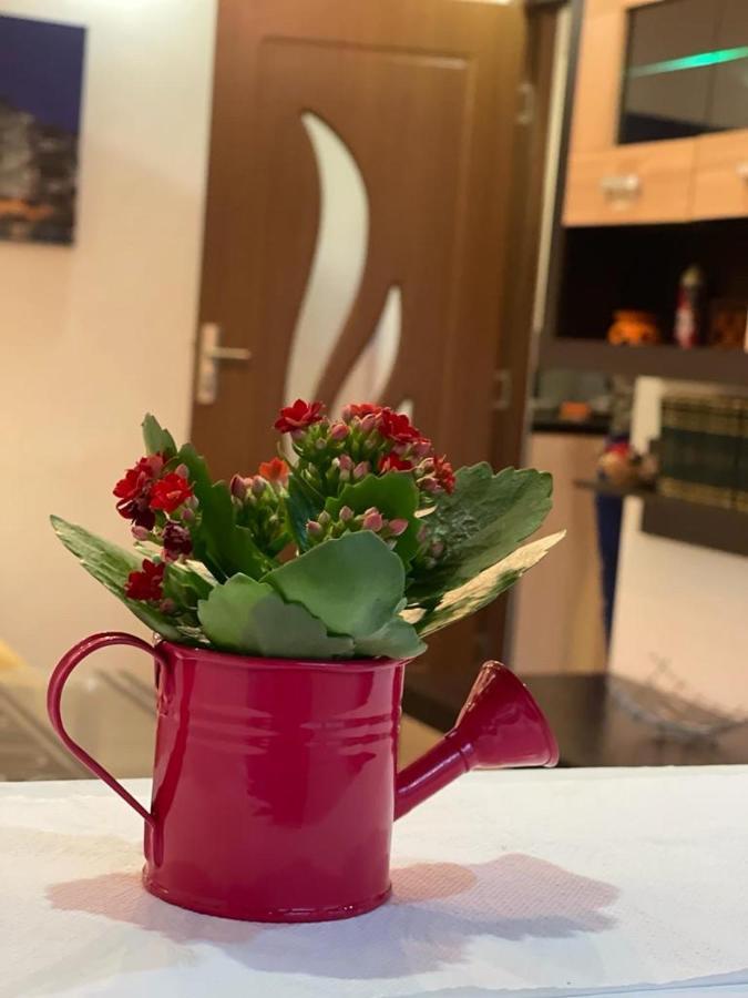 Bucuresti Comfort Apartment Экстерьер фото